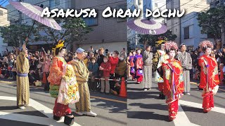 Asakusa Oiran Dochu Procession 花魁道中 Ichiyo Sakura Festival 一葉桜まつり [upl. by Muslim331]