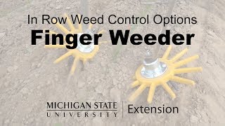 Finger Weeder  In Row Weed Control Options [upl. by Arie]