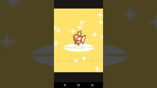 Magikarp Jump Event 39  Evolving Magikarp Into Gyarados Adios Gyarados [upl. by Nyrret]