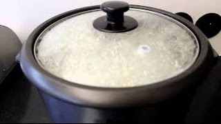 How To Make Rice Using The Black And Decker Rice Cooker [upl. by Seiuqram281]