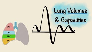 Lung Volumes and Capacities  Spirogram  Spirometry  Respiratory Physiology [upl. by Traci417]