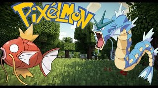 Magikarp Evolving into Gyarados at Level 20 on pixelmon [upl. by Anelaf]