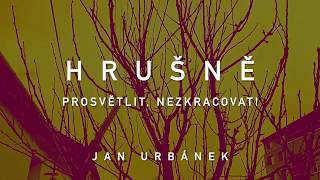 Hrušně – prosvětlit nezkracovat [upl. by Layla]