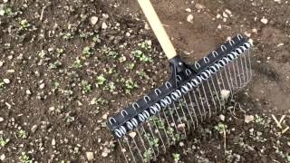 Tine Weeding Rake Demonstration [upl. by Kampmeier414]