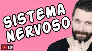 SISTEMA NERVOSO  FISIOLOGIA  Aula  Biologia com Samuel Cunha [upl. by Akehsal938]