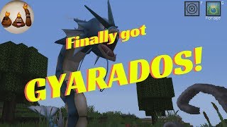 Magikarp Evolved into Gyarados  Pixelmon mod for Minecraft Gameplay Episode 4 [upl. by Jonis]