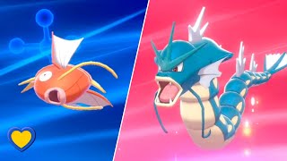 HOW TO Evolve Magikarp into Gyarados in Pokémon Sword and Shield [upl. by Worra]