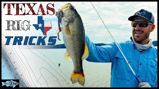 5 Tips to Catch More Bass Using TexasRigged Worms [upl. by Sothena]