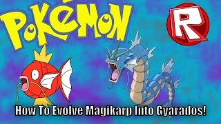 How to evolve magikarp into gyarados  ROBLOX [upl. by Nagad]