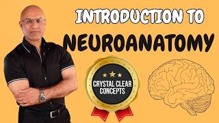 Intro to Neuroanatomy  Neurophysiology  Neuroscience  Central Nervous System [upl. by Waneta]