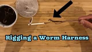 How to Rig a Worm Harness For Walleye [upl. by Hcirteid607]