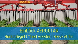 Hackstriegel  Tined weeder  Herse étrille EINBÖCK AEROSTARCLASSIC [upl. by Ibmat]