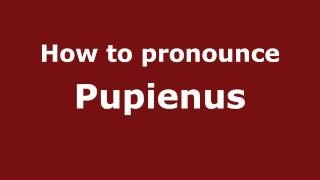 How to Pronounce Pupienus  PronounceNamescom [upl. by Eelannej]