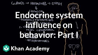 Endocrine system and influence on behavior  Part 1  Behavior  MCAT  Khan Academy [upl. by Nady]