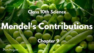 Heredity and Evolution  Mendels Contributions  CBSE Class 10 X Science Biology  Toppr Study [upl. by Miun]