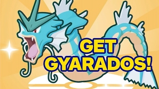 Pokemon Magikarp Jump How to Get Gyarados [upl. by Euqinot]