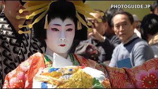 Asakusa Ichiyo Sakura Matsuri Oiran Dochu 第17回 浅草観音うら 一葉桜まつり おいらん道中 [upl. by Ardied994]