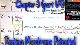 Resting membrane potential  chapter 5 part 14  Guyton and hall text book of medical physiology [upl. by Penn758]