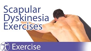 Best Scapular Dyskinesis  Dyskinesia Exercises [upl. by Bernelle]