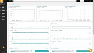 Database Performance Monitor Overview [upl. by Eibot]