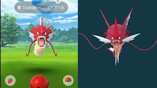 Shiny Magikarp evolves into Mega Gyarados New Mega Energy [upl. by Haya]