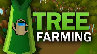 Complete Tree Farming Guide for OSRS [upl. by Victory]