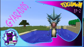 CATCHING AND EVOLVING MAGIKARP INTO GYARADOS MINECRAFT MODDED  PIXELMON EP2 [upl. by Quennie]