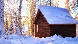 Off Grid Cabin in the Alaskan Wilderness [upl. by Raynard]