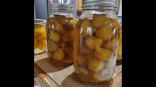 How to Preserve FIGS for YEARS [upl. by Shannan]