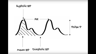 Therapeutic Drug Monitoring TDM explained [upl. by Norrehs]