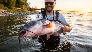 Shore fishing the BIGGEST Lake in Manitoba [upl. by Okiruy]