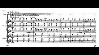 Jean Sibelius Lemminkäinen suite  Lemminkäinen in Tuonela with score [upl. by Sterling658]