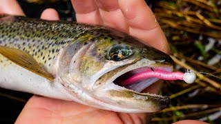 How To Fish MICRO Worms For TROUT In Creeks Rivers amp Streams [upl. by Funk415]